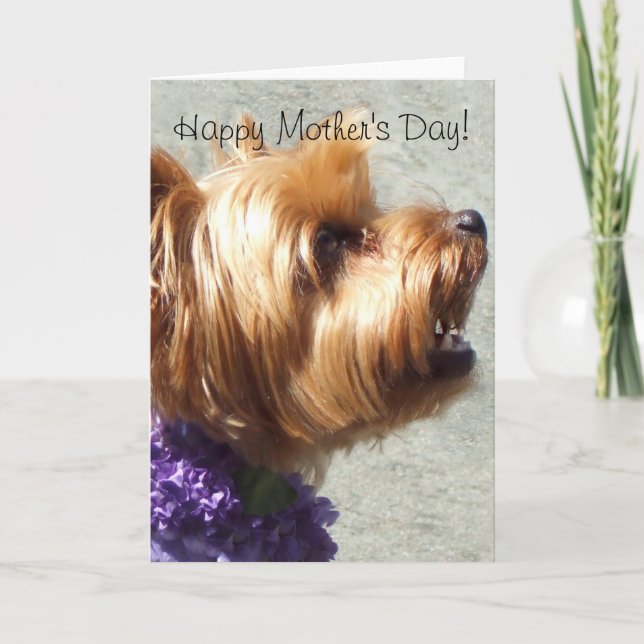 Happy Mother's Day Yorkshire Terrier Greeting Card (Front)