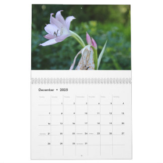 Happy New Year Calendar Year 2025