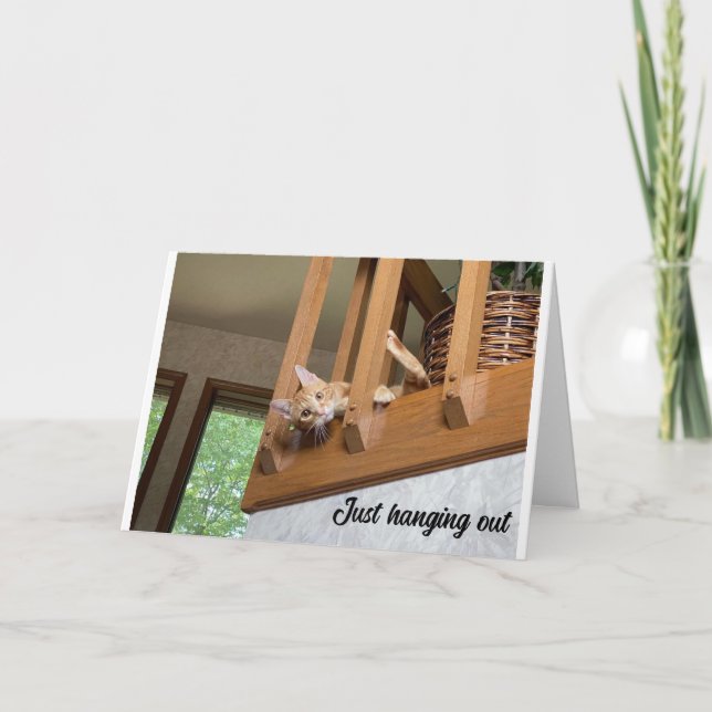 "HAPPY NEW YEAR" FROM HANGING OUT CAT CARD (Front)