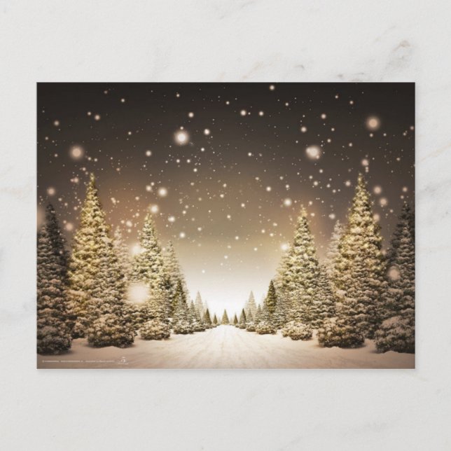 Happy New Year Holiday Postcard (Front)