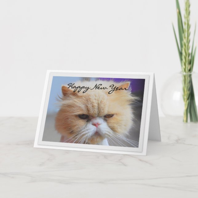 Happy New Year Persian Cat Humour Holiday Card (Front)