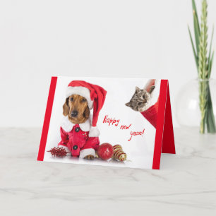 Happy new year post card with picture of pets.