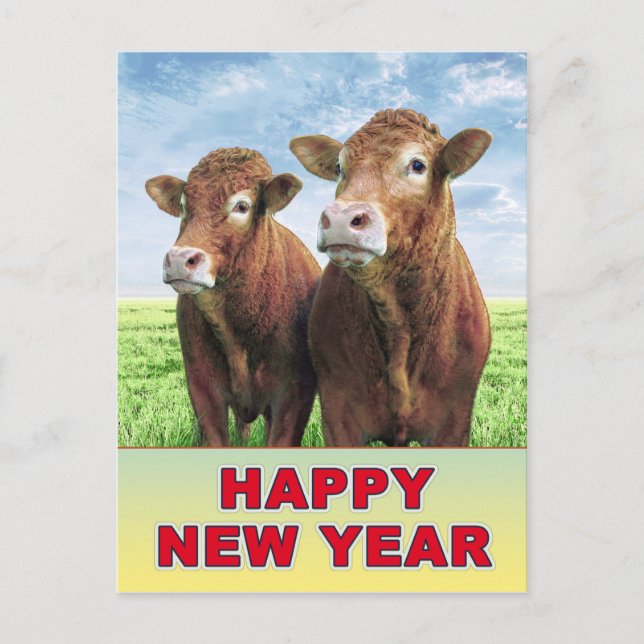 Happy New Year Postcard (Front)