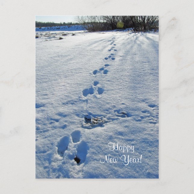 Happy New Year Postcard (Front)