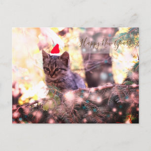 Happy New Year Postcard Kitten