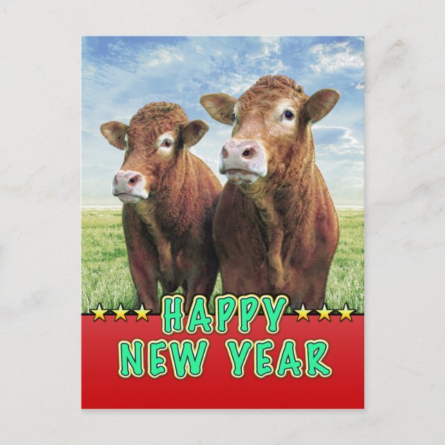HAPPY NEW YEAR witch the cow boys Holiday Postcard (Front)