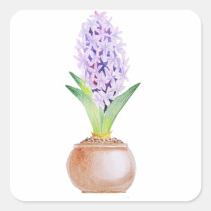 Happy Norooz Hyacinth Square Sticker