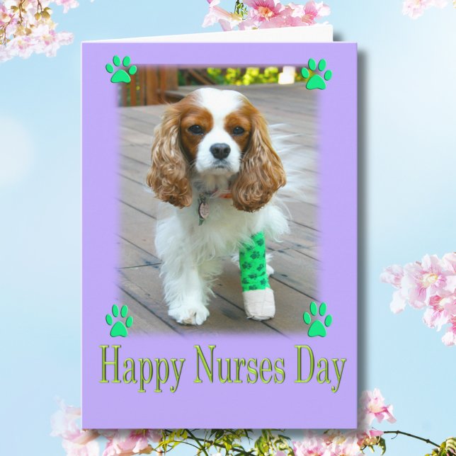Happy Nurses Day With Spaniels Bandaged Foot Card (Creator Uploaded)