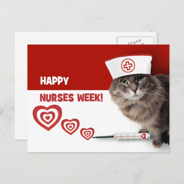 Happy Nurses Week. Funny Kitty  Postcard (Front/Back)