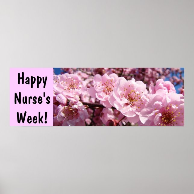 Happy Nurse's Week! poster banners Nursing prints (Front)