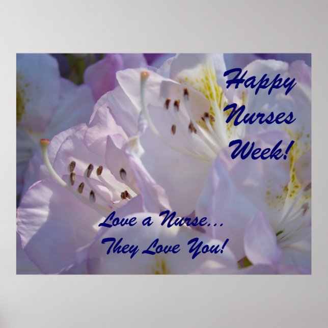 Happy Nurses Week! poster Love a Nurse Floral (Front)