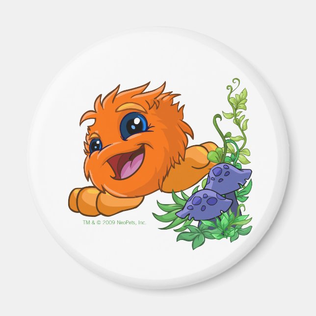 Happy orange JubJub in Neopia Central Magnet (Front)