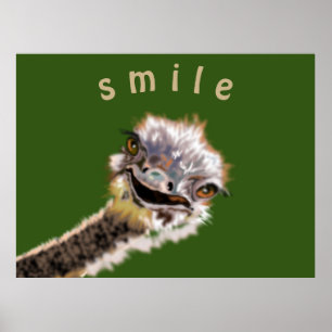 Happy Ostrich Poster