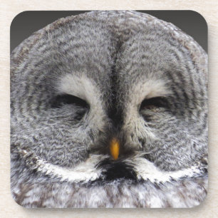 Happy Owl Coaster
