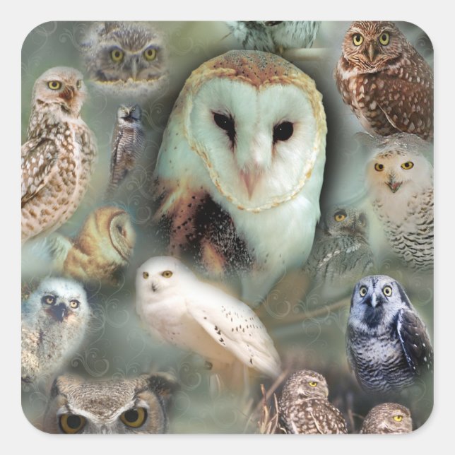 Happy Owls Square Sticker (Front)