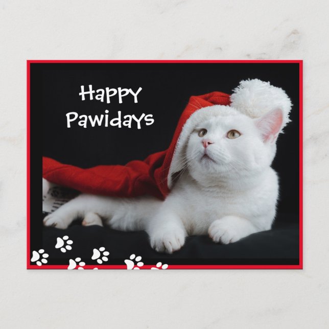 Happy Pawidays, Cat, Art Postcard (Front)