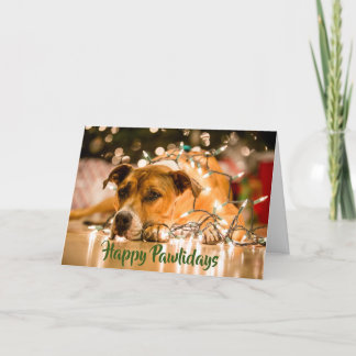 Happy Pawlidays Card