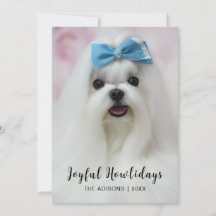 Happy Pawlidays Dog Christmas Photo Greeting Holiday Card
