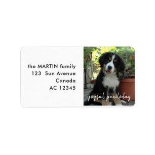 Happy Pawlidays Dog Holiday Address Design Label