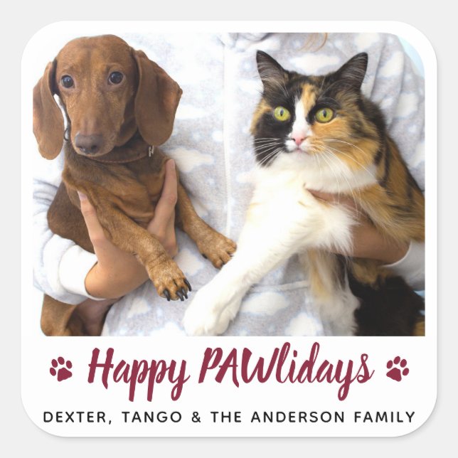 Happy PAWlidays Dog Lover Cat Pet Photo Christmas Square Sticker (Front)
