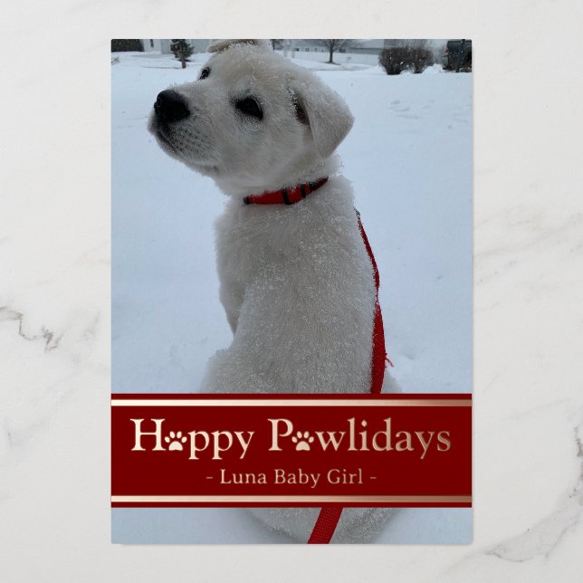 Happy Pawlidays Foil Holiday Card (Front)