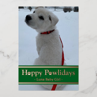 Happy Pawlidays Foil Holiday Card