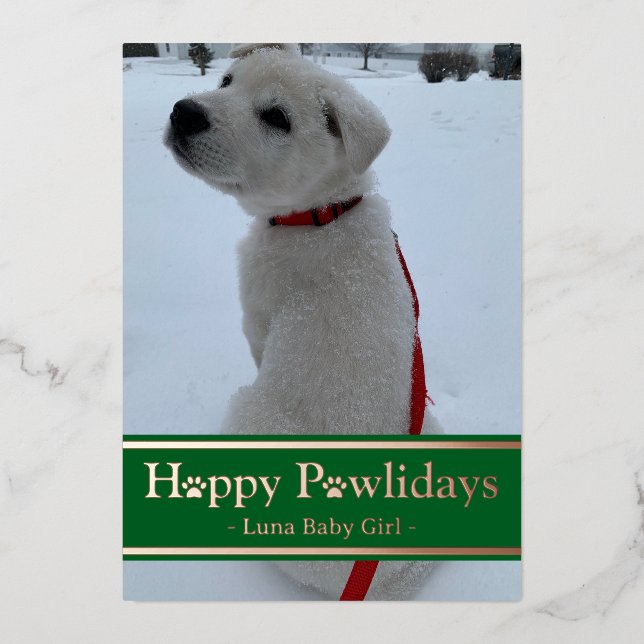 Happy Pawlidays Foil Holiday Card (Front)