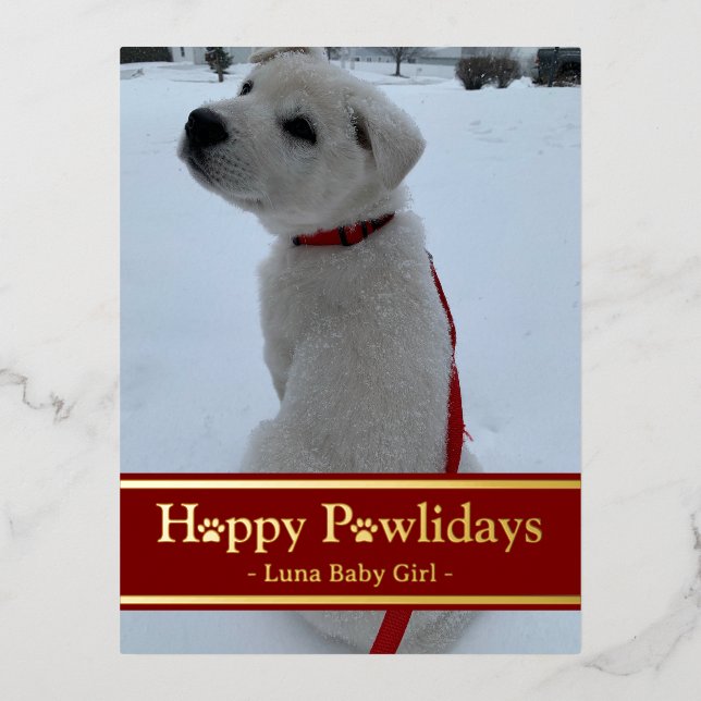 Happy Pawlidays Foil Holiday Postcard (Front)
