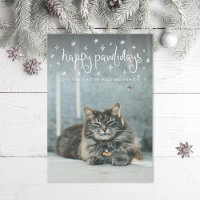 Happy Pawlidays Fun Stars Cat Photo