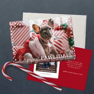 Happy Pawlidays Pet Lover Holiday Photo Card