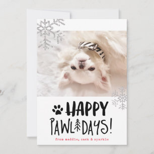 Happy Pawlidays   Pet Photo Holiday Card