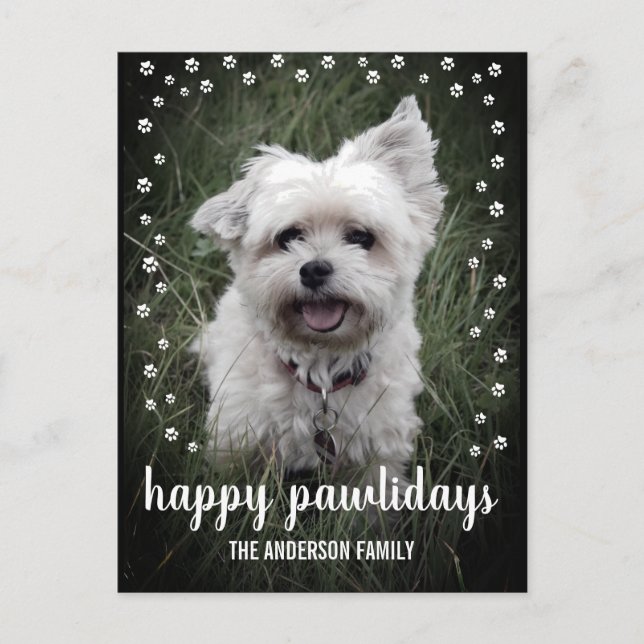 Happy Pawlidays Photo Modern Dog Christmas Holiday Postcard (Front)