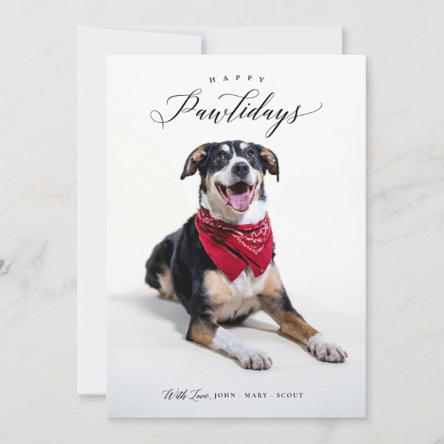 Happy Pawlidays Script Pet Christmas Photo Card (Front)