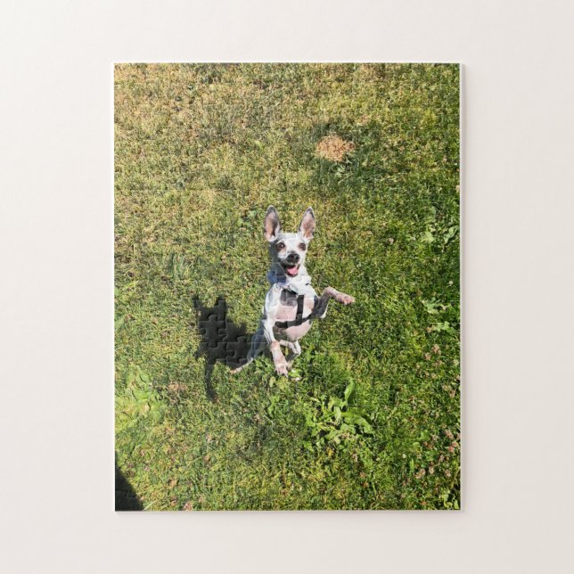 happy pearl puzzle (Vertical)