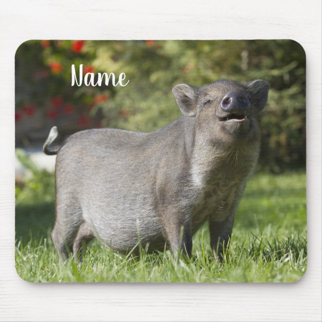 Happy Pet Mini Pot Bely Pig Mouse Pad (Front)