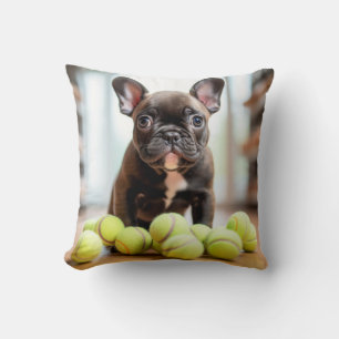 🐕 Happy  Pinscher Pup with  Tennis ball Cushion