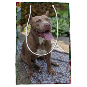Happy Pitbull with Flowers Photography Medium Gift Bag