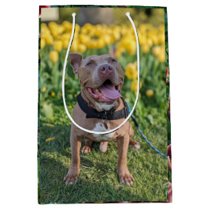 Happy Pitbull with Flowers Photography Medium Gift Bag
