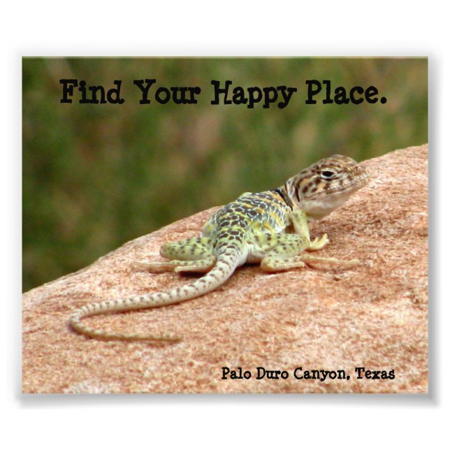 Happy Place Lizard Print (Front)