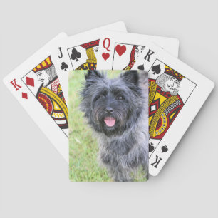Happy Playing Cards