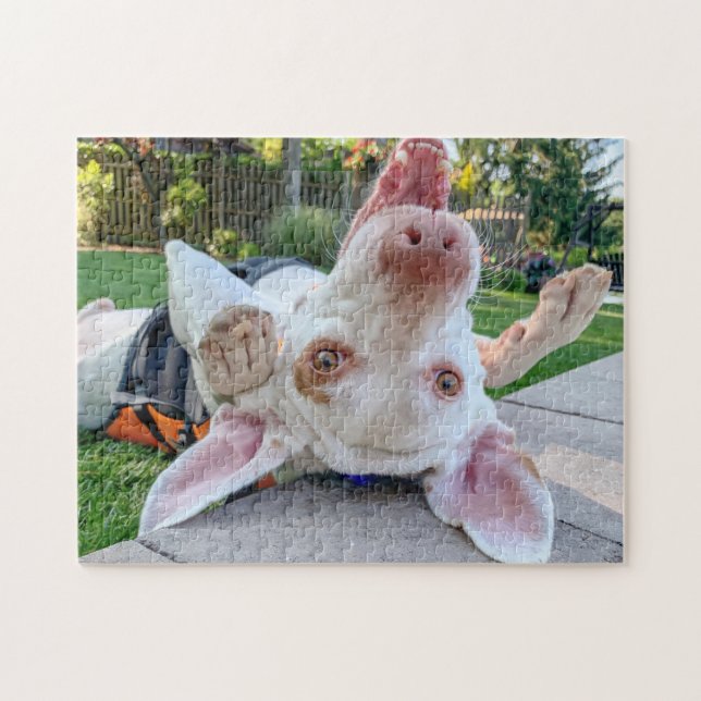 Happy Pointer Puzzle (Horizontal)