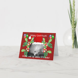 Happy Pomeranian Puppy Christmas Holiday Card