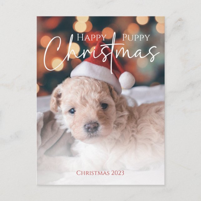 Happy Puppy Christmas photo Postcard (Front)