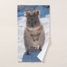 Happy Quokka on the beach