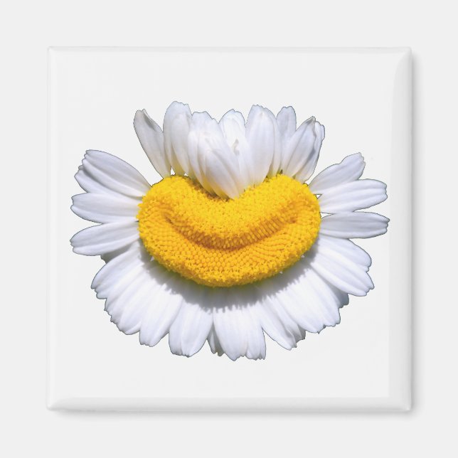 Happy Radiant Chamomile Smile  Magnet (Front)