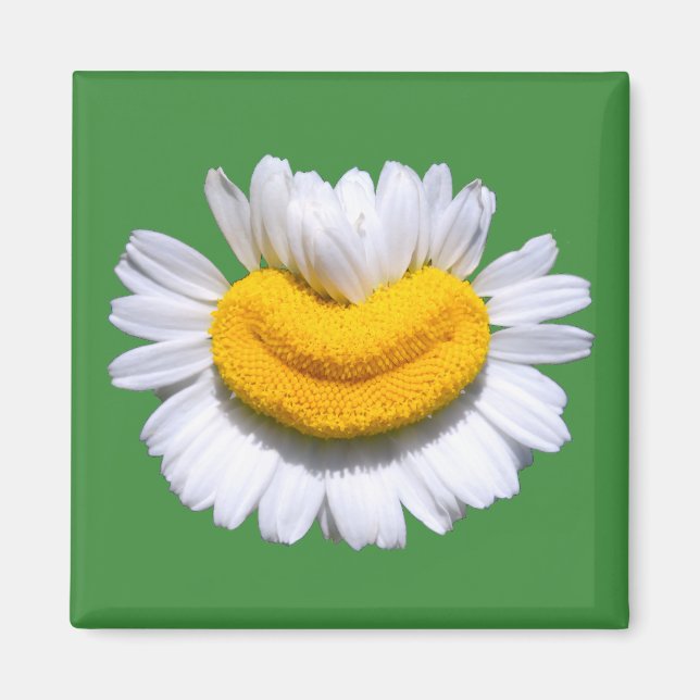 Happy Radiant Chamomile Smile  Magnet (Front)