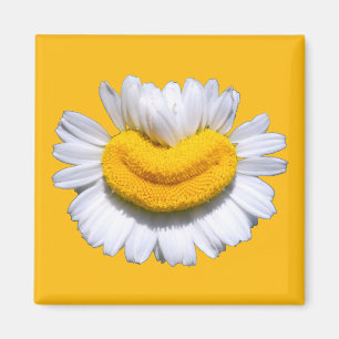 Happy Radiant Chamomile Smile  Magnet