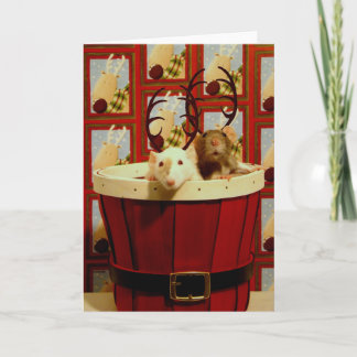 Happy Ratty-mas! Holiday Card