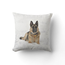 Happy Rescued German Shepherd Dog Playing in Snow