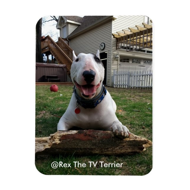 Happy Rex Magnet (Vertical)